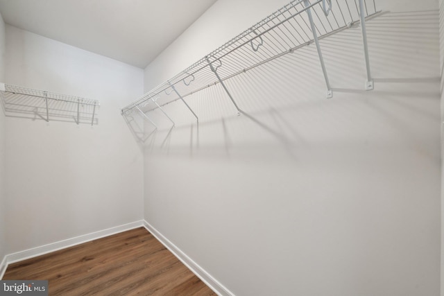 walk in closet with hardwood / wood-style flooring