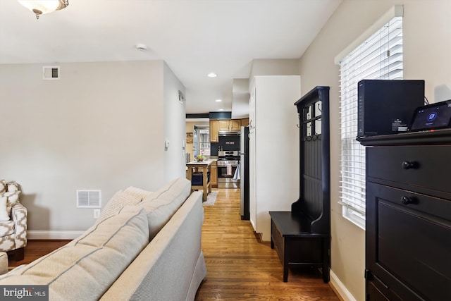 living room with wood-type flooring