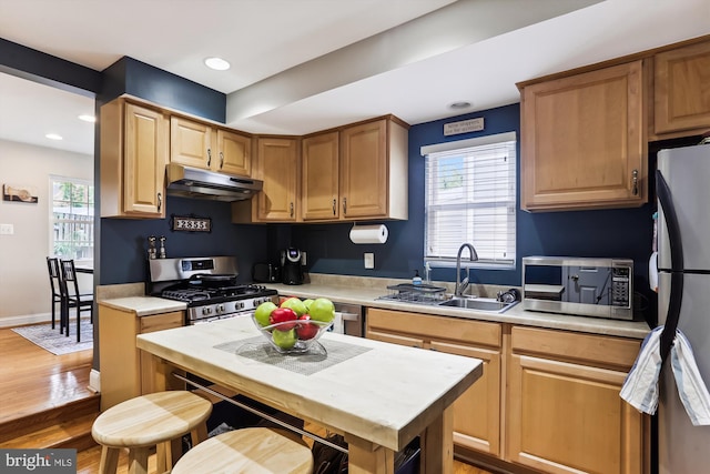 kitchen with sink, stainless steel appliances, dark hardwood / wood-style flooring, and a healthy amount of sunlight