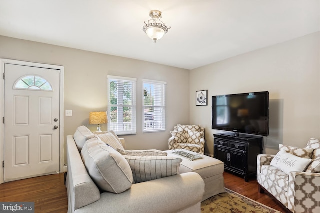 living room featuring a healthy amount of sunlight and dark wood-type flooring