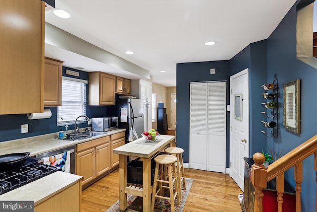 kitchen with light wood-type flooring, sink, and stainless steel appliances