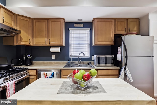 kitchen with appliances with stainless steel finishes and sink