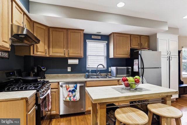 kitchen featuring sink, appliances with stainless steel finishes, and light hardwood / wood-style floors