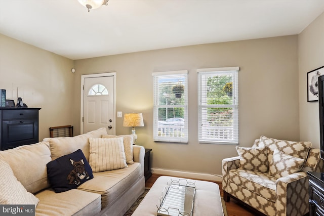 living room featuring hardwood / wood-style floors