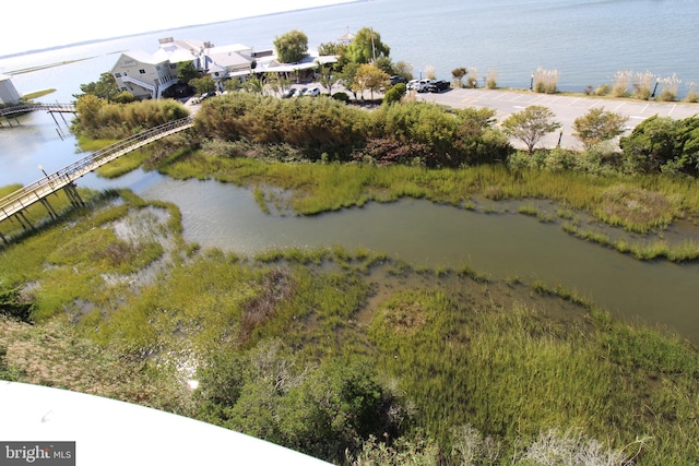 bird's eye view with a water view