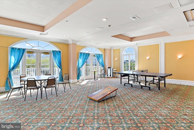 rec room with carpet floors, a raised ceiling, french doors, and plenty of natural light