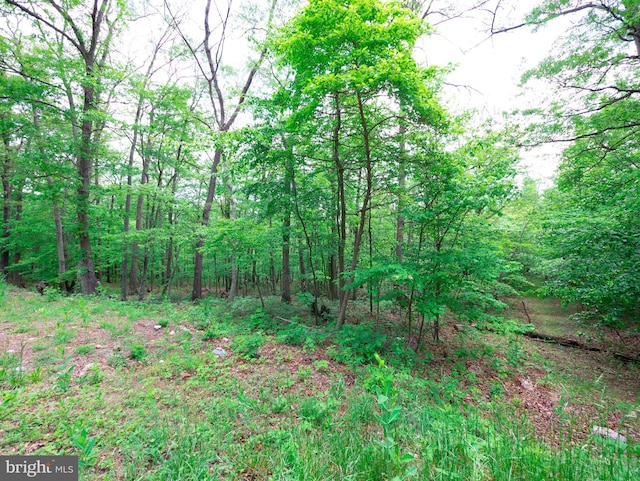 LOT37 Poplar Trl, Winchester VA, 22602 land for sale