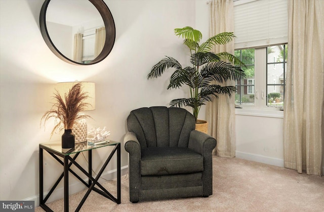 living area featuring light colored carpet