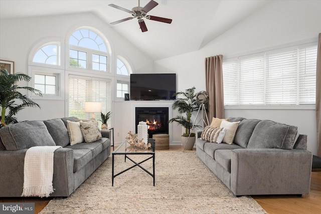 living room with ceiling fan, lofted ceiling, and light hardwood / wood-style floors