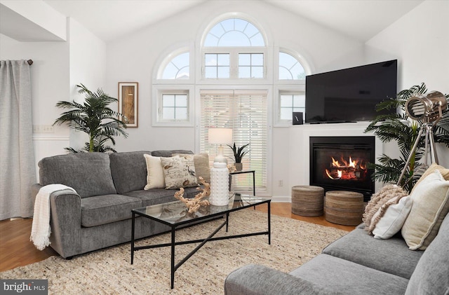 living room featuring light wood-type flooring, plenty of natural light, and vaulted ceiling