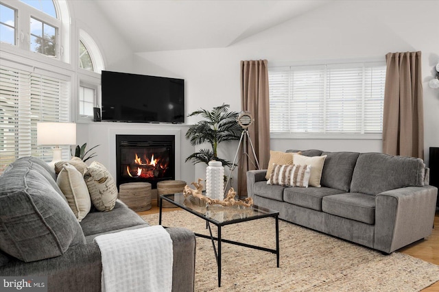 living room featuring lofted ceiling and light hardwood / wood-style flooring