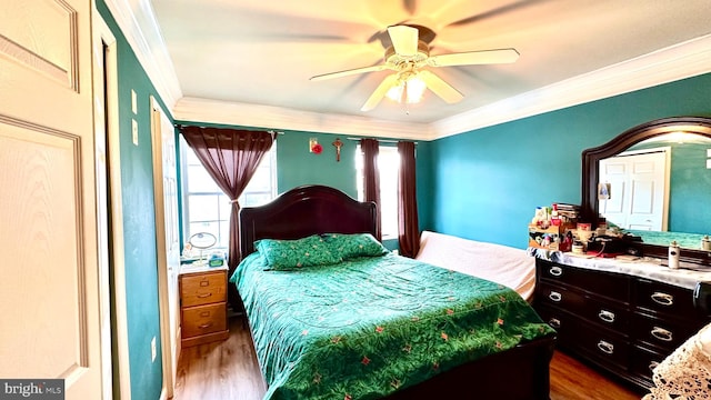 bedroom with ceiling fan, hardwood / wood-style flooring, and crown molding