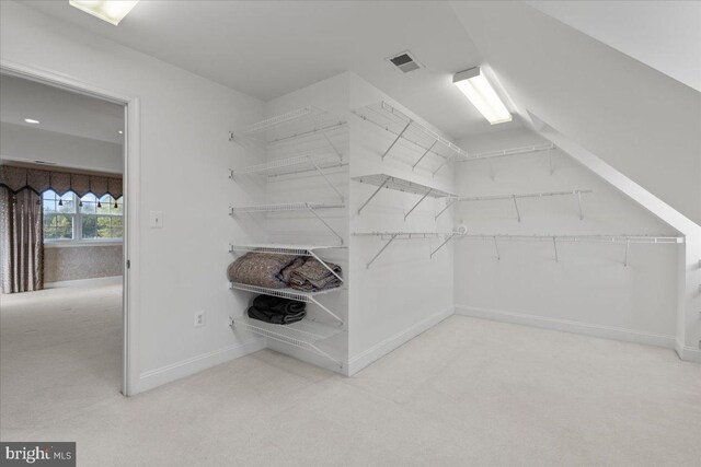 spacious closet featuring carpet flooring