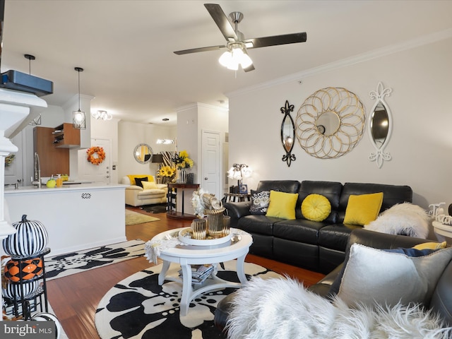 living room featuring ceiling fan, dark wood-type flooring, and crown molding