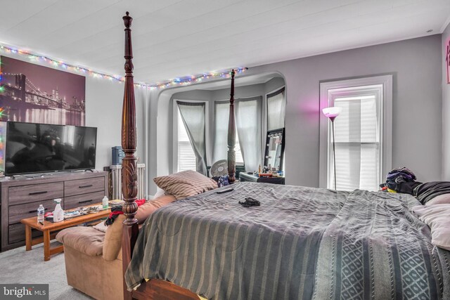 carpeted bedroom with multiple windows