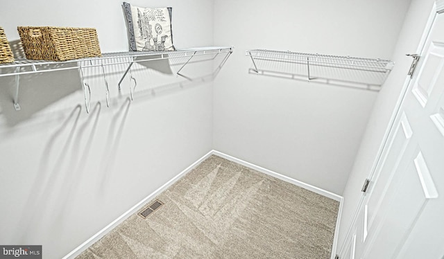 walk in closet featuring carpet floors