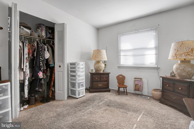 carpeted bedroom featuring a closet