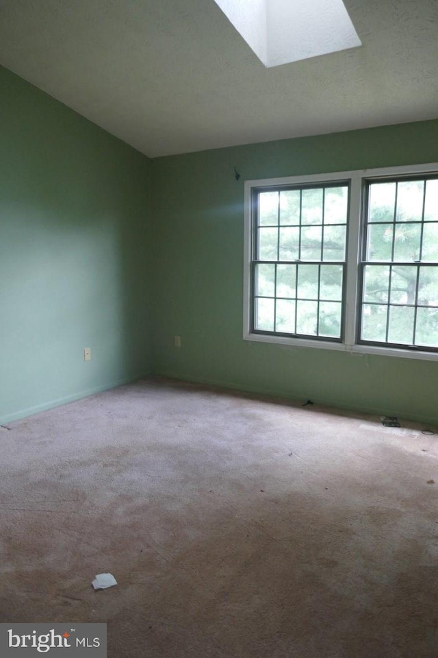 empty room with a textured ceiling, carpet flooring, and a wealth of natural light