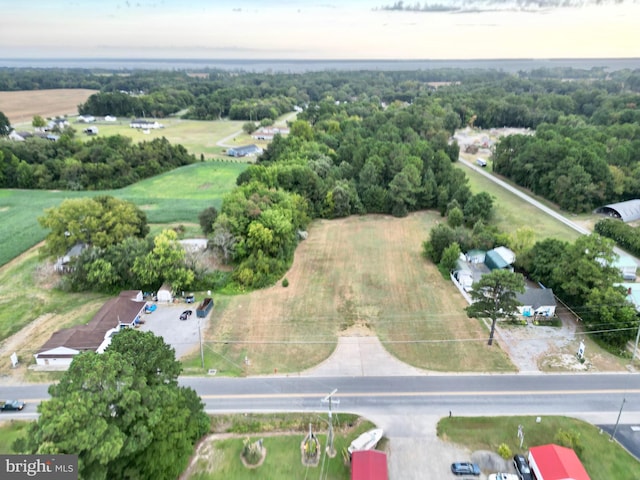 16445 General Puller Hwy, Deltaville VA, 23043 land for sale