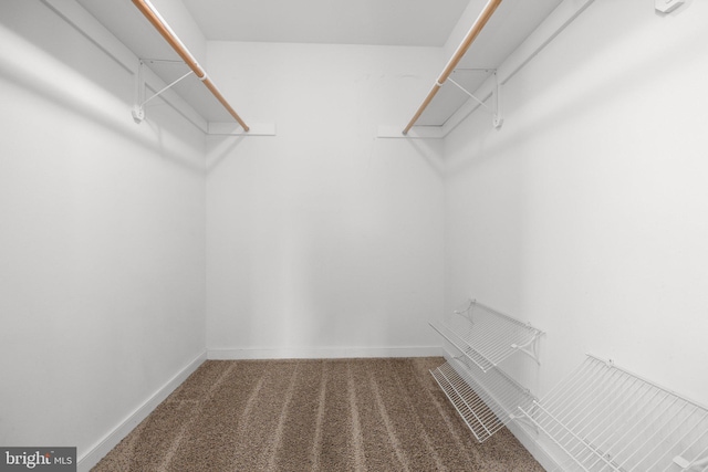 walk in closet with carpet