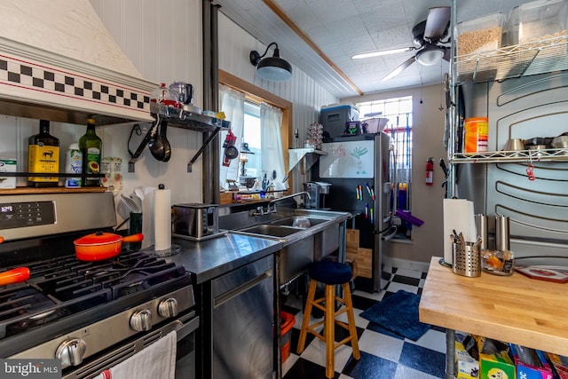 kitchen featuring ceiling fan, appliances with stainless steel finishes, and sink