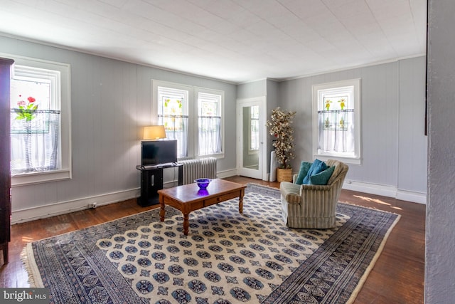 living room featuring dark wood-type flooring, ornamental molding, and radiator heating unit