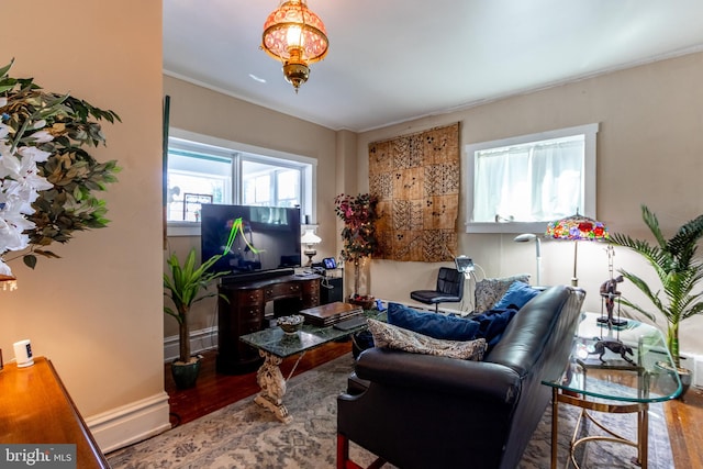 living room featuring hardwood / wood-style floors