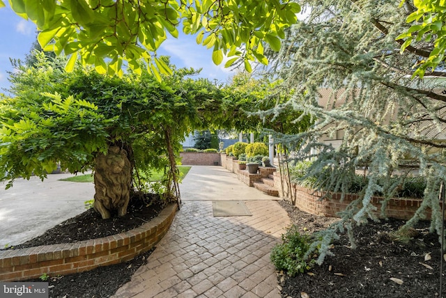 view of community featuring a patio area