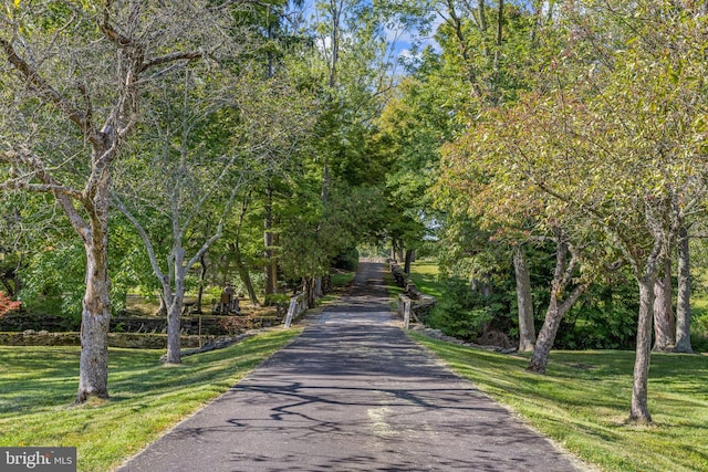 view of home's community featuring a yard