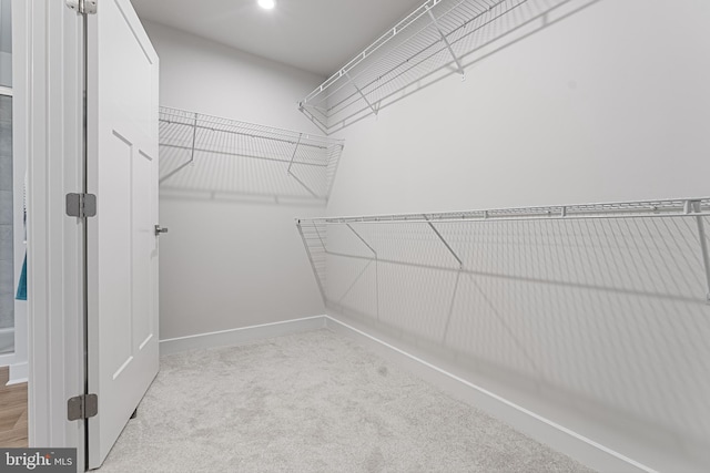 spacious closet featuring light carpet