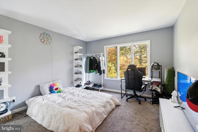 bedroom with carpet floors