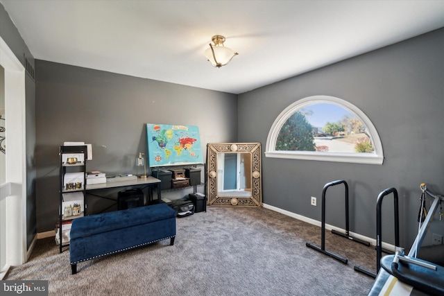 sitting room featuring carpet floors