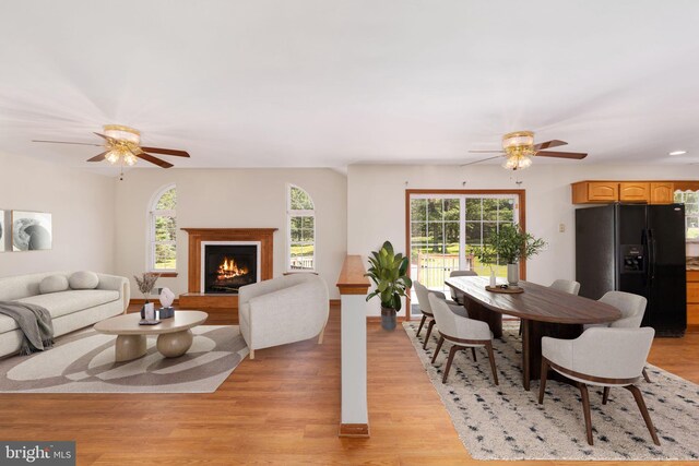 dining room with light hardwood / wood-style floors, ceiling fan, and a wealth of natural light