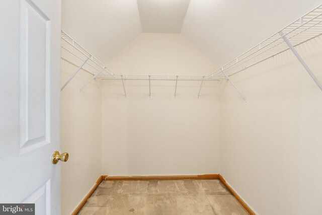 walk in closet featuring carpet floors and vaulted ceiling