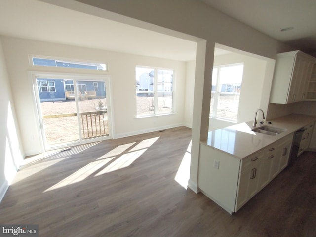 kitchen featuring white cabinetry, wood-type flooring, and sink