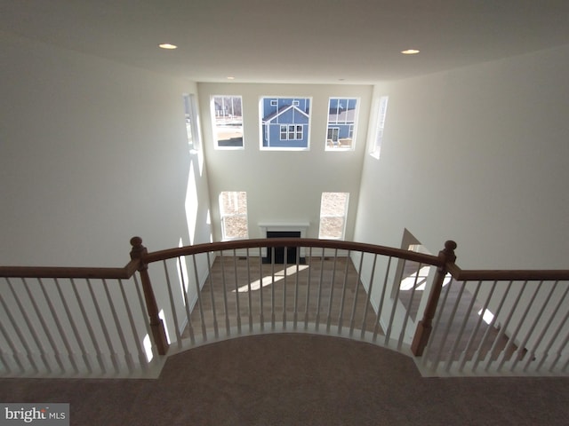 staircase with carpet