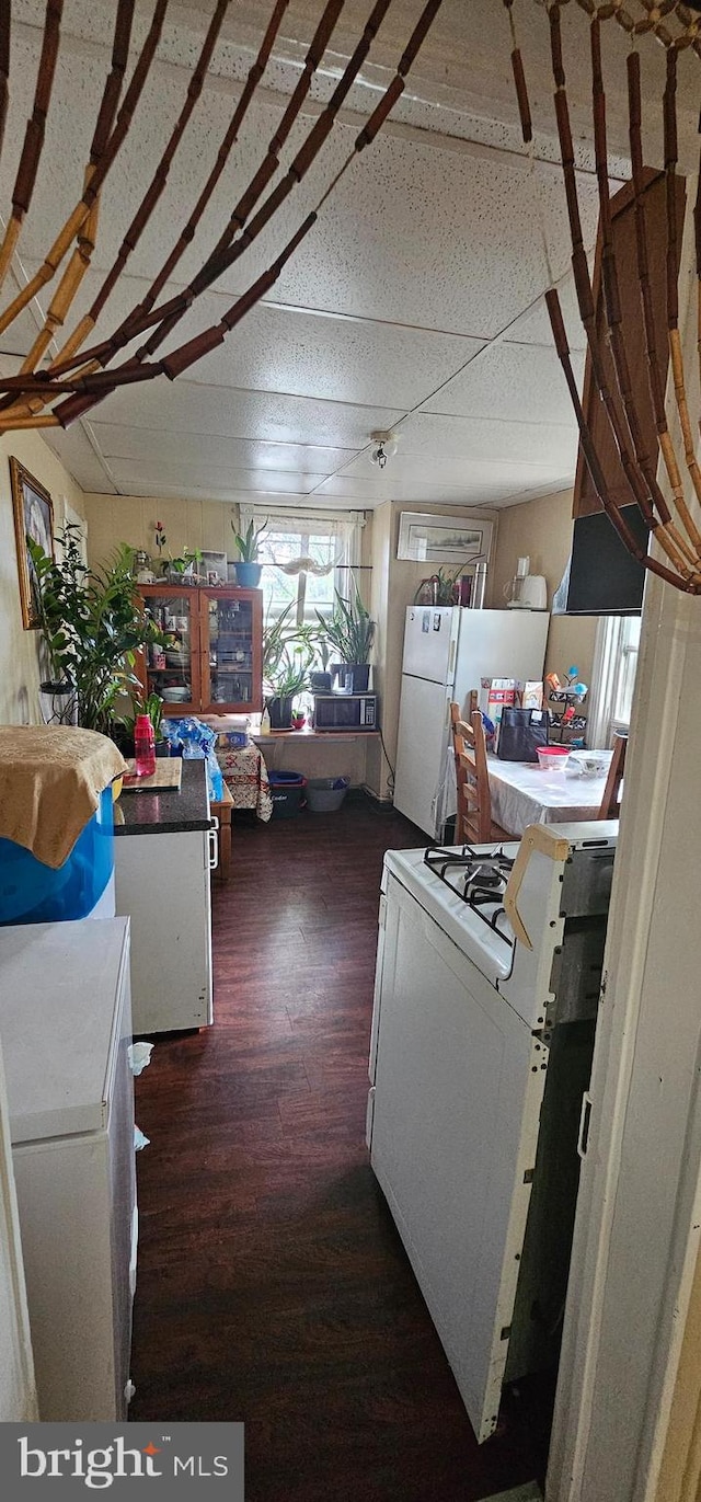 kitchen with dark wood-type flooring and white gas stove