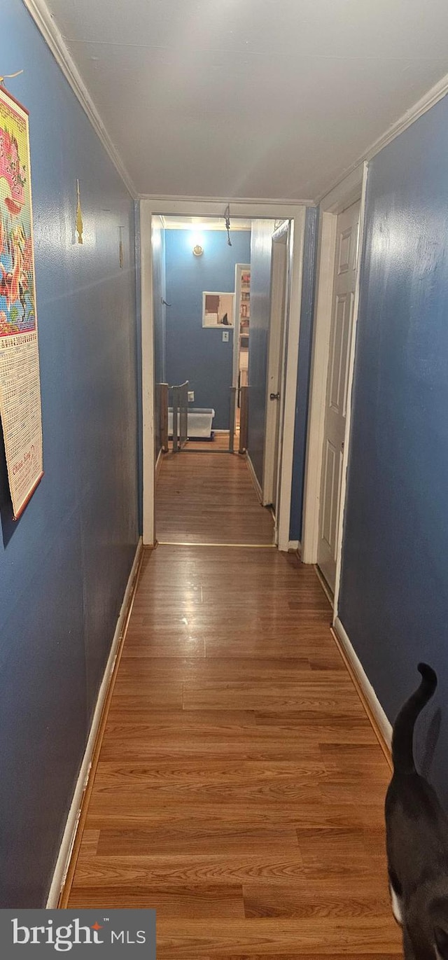 hallway with ornamental molding and hardwood / wood-style floors