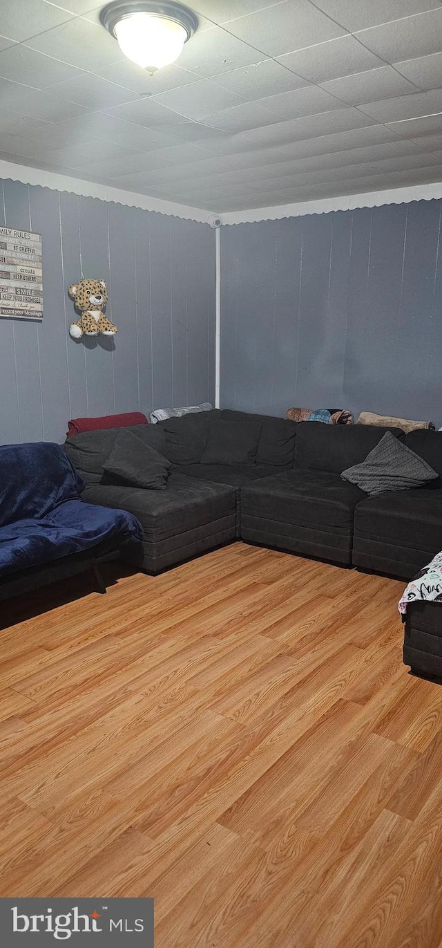 living room featuring light wood-type flooring