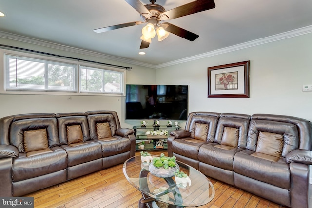 living room with light wood-type flooring, crown molding, and ceiling fan