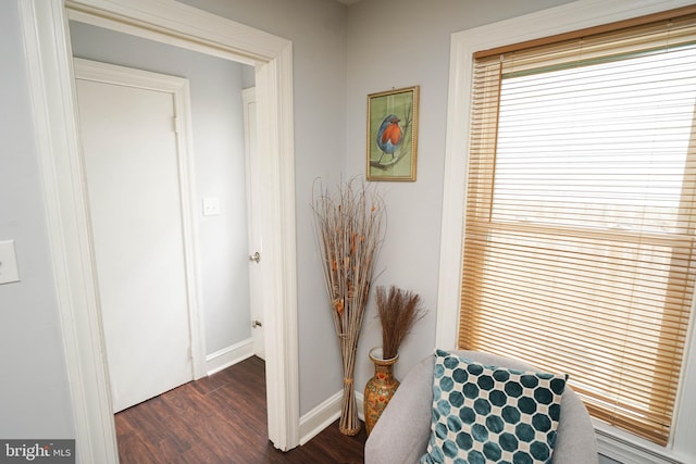 corridor with dark hardwood / wood-style floors