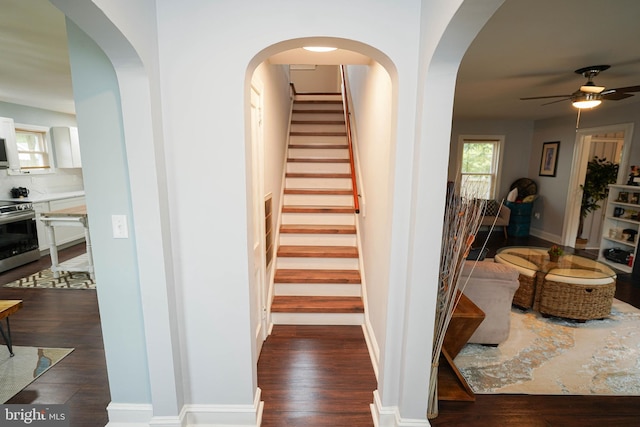 staircase featuring wood-type flooring and ceiling fan