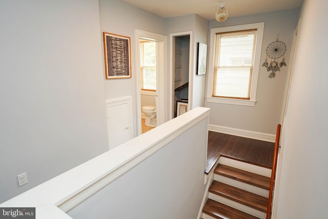 hall with dark hardwood / wood-style floors