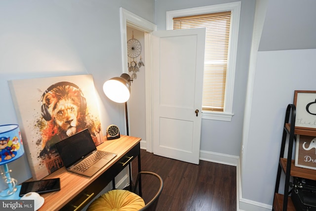 office space featuring dark hardwood / wood-style flooring