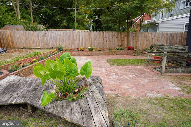 view of yard featuring a patio