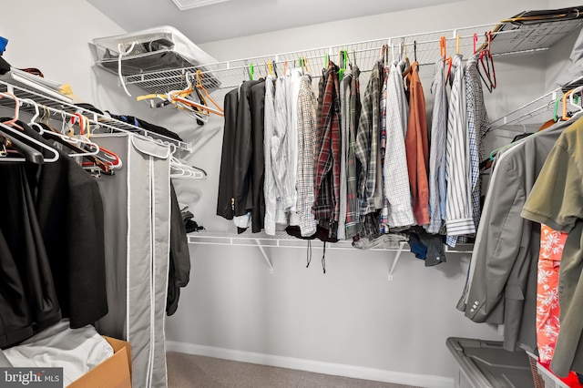 spacious closet featuring carpet floors