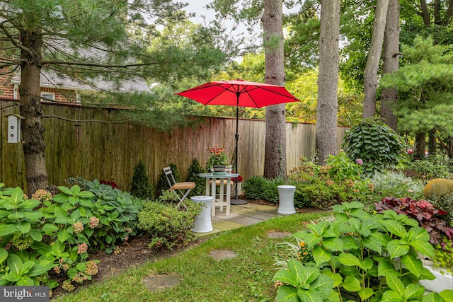 view of yard with a patio