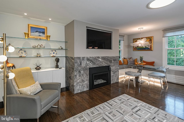 living room featuring dark wood-type flooring and a premium fireplace