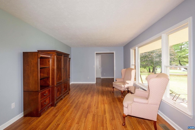 living area with light hardwood / wood-style floors and a textured ceiling