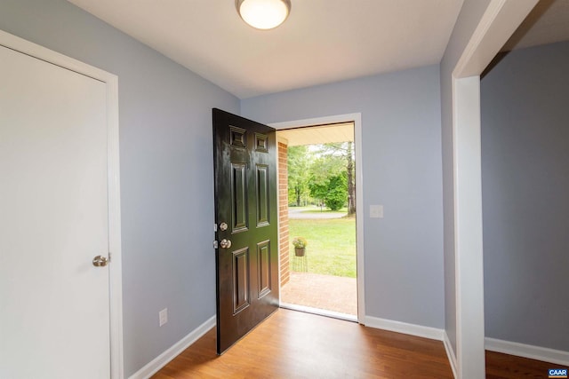 entryway featuring hardwood / wood-style flooring